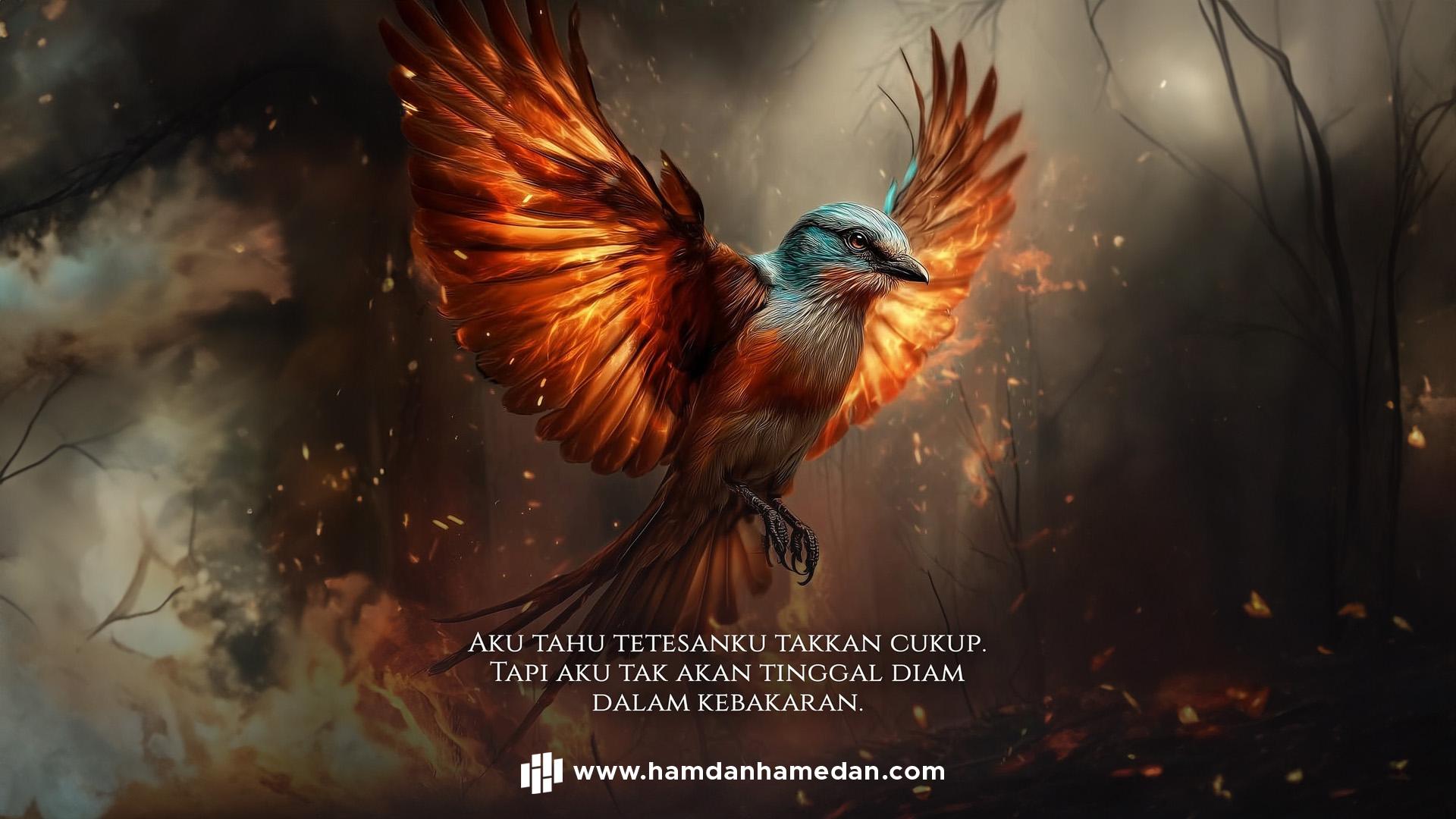 BURUNG KECIL & FLOTILLA 1 Burung